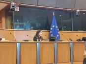La FSG participa en una reunin en el Parlamento Europeo para abordar las debilidades de la legislacin europea antidiscriminacin