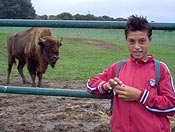 Foto