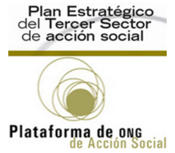 El Pleno del Consejo Estatal de ONG aprueba el II Plan Estratgico del Tercer Sector de Accin Social