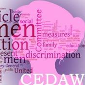El Comit para la Eliminacin de la Discriminacin contra la Mujer (CEDAW) de las Naciones Unidas expresa su preocupacin por las mujeres gitanas