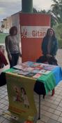 La Fundacin Secretariado Gitano en Almera participa en las VIII Jornadas de Voluntariado, Participacin y Solidaridad del IES Aguadulce