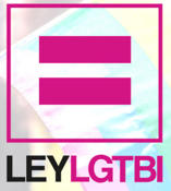 Veintisis organizaciones y sindicatos exigen la urgente aprobacin de la Ley de Igualdad LGTBI