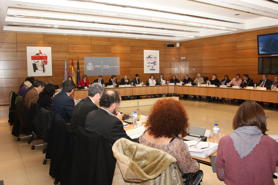Meeting of the State Council of the Roma People, of which the FSG is a member