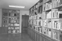 Foto apertura