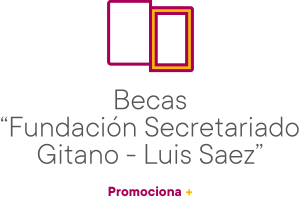logo_becas_fsg_luis_saez_horizontal