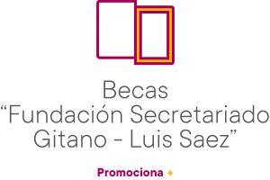 logo_becas_fsg_luis_saez_horizontal logo_becas_fsg_luis_saez_horizontal