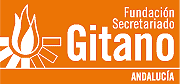 LOGO FSG