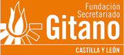 LOGO FSG