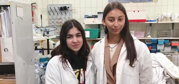 Roma students participate in a Mentoring at the Spanish National Research Council (CSIC)