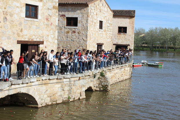 Da del Pueblo Gitano en Zamora