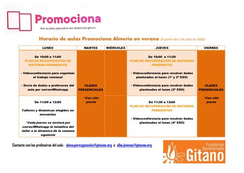 Las Aulas Promociona de la Fundacin Secretariado gitano continan online durante el verano