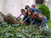 Acompaamiento para la escolarizacin 