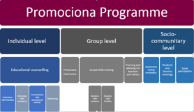 Promociona family