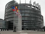 El Parlamento Europeo aprueba dos Resoluciones enfocadas a lograr la inclusin de la poblacin gitana en Europa