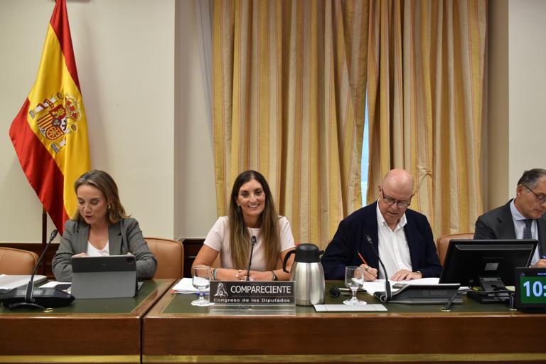 Presentamos en la Comisi�n Constitucional del Congreso propuesta de ley integral para el reconocimiento, la igualdad y la promoci�n del pueblo gitano