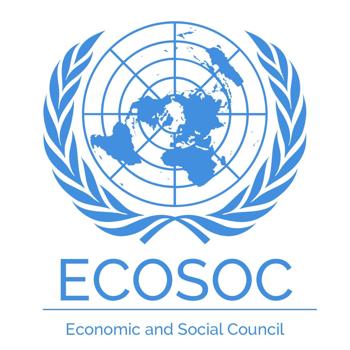 FSG is recognized as a consultative entity by the Economic and Social Council of the United Nations Organization -ECOSOC