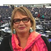European Parliament backs report to fight Roma discrimination and antigypsyism 