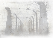 La recuperación de la historia y de la memoria de la deportación de las poblaciones Sinti y Rom a campos de concentración en Italia