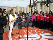 Da Internacional del Pueblo Gitano en Almera 2012