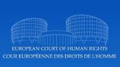 Jornadas sobre litigio en el Tribunal Europeo de Derechos Humanos (TEDH)