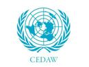 La Fundación Secretariado Gitano denuncia una discriminación ante Naciones Unidas 