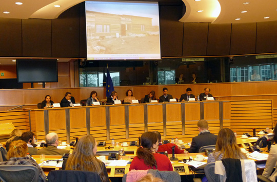 Audiencia en el parlamento Europeo sobre discriminación y gitanos en Europa
