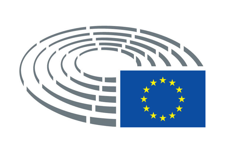 Comentarios racistas antigitanos en un debate en el Parlamento Europeo
