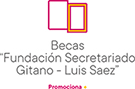 Logo de las becas luis saez