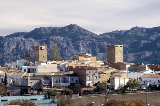 Denunciamos los ataques antigitanos que han sufrido algunas familias gitanas en Peal de Becerro (Jan) tras el presunto homicidio de un joven de la localidad