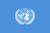 Naciones Unidas pide al Gobierno espaol “revisar” las medidas de austeridad por perjudicar los derechos humanos