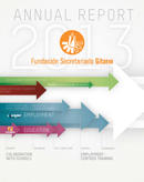 Annual report 2013